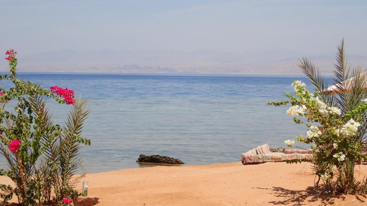 Bedouin Star Taba Exterior foto