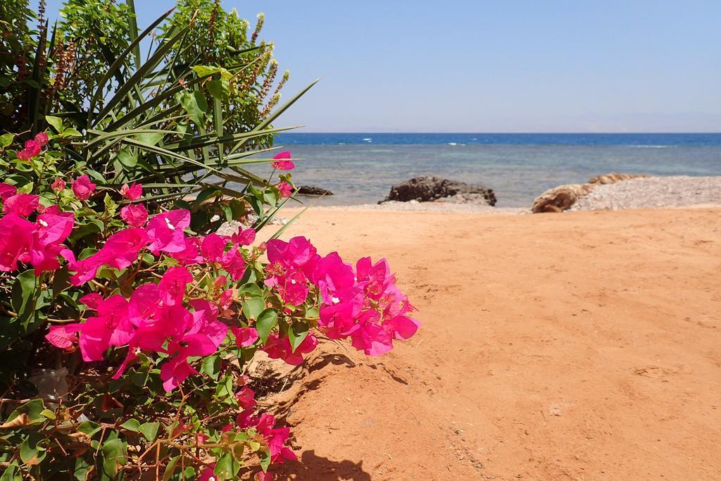 Bedouin Star Taba Exterior foto