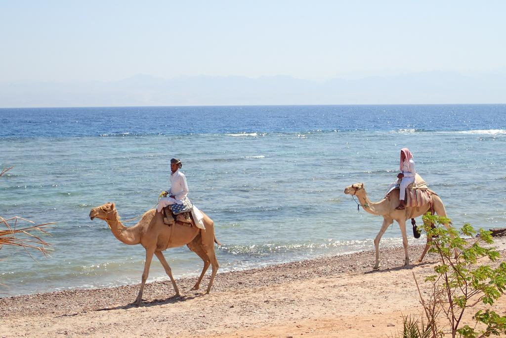 Bedouin Star Taba Exterior foto