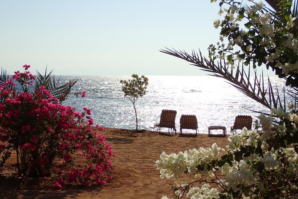 Bedouin Star Taba Exterior foto